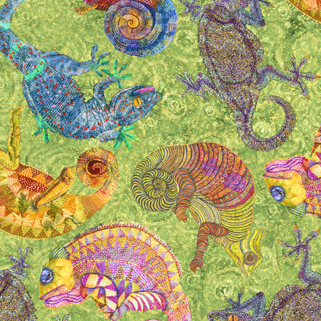 COLORFUL CHAMELEONS      